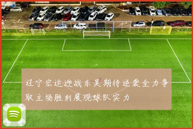 辽宁宏运迎战东吴期待逆袭全力争取主场胜利展现球队实力