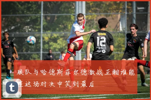 狼队与哈德斯菲尔德激战正酣谁能在这场对决中笑到最后