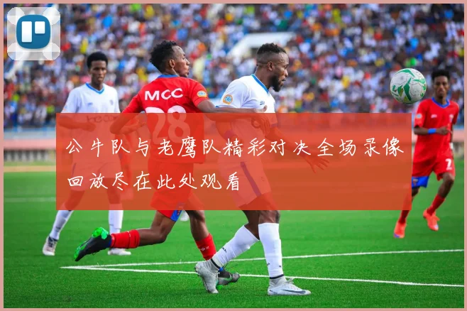 公牛队与老鹰队精彩对决全场录像回放尽在此处观看