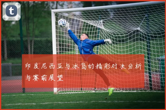 印度尼西亚与冰岛的精彩对决分析与赛前展望