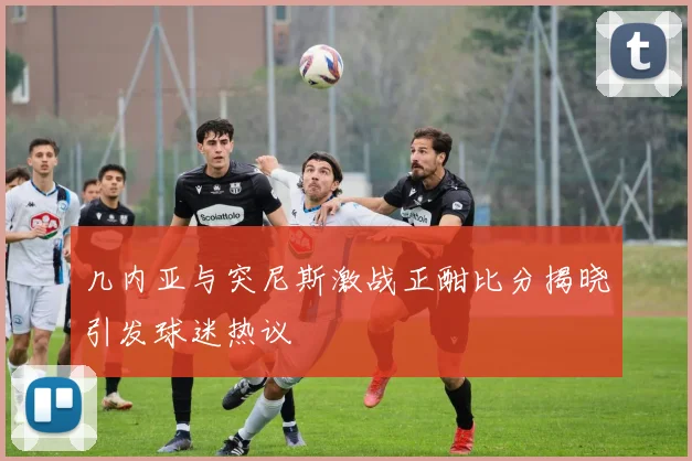 几内亚与突尼斯激战正酣比分揭晓引发球迷热议