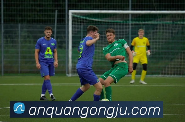 15vip太阳成平台生态图