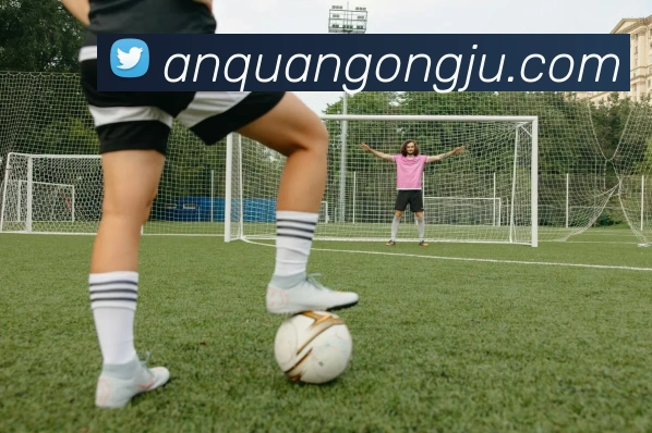 15vip太阳成APP 封面图